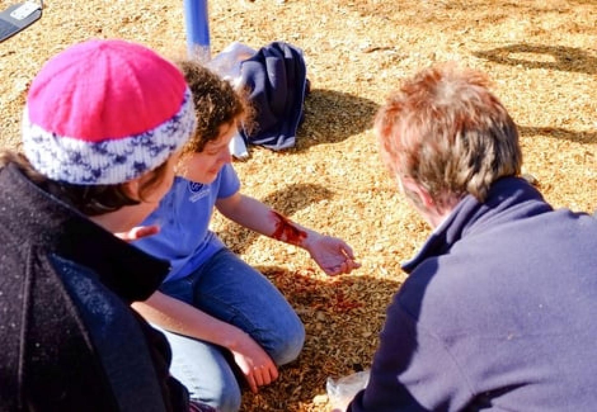 Image of Outdoor First Aid Course
