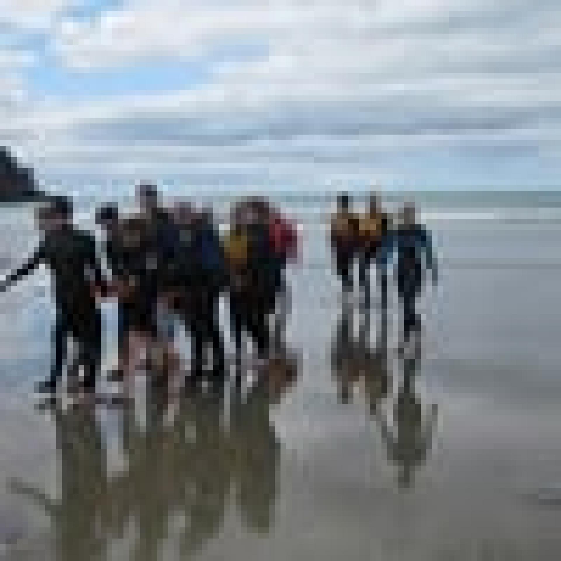 Image of Surf Lifesaving New Zealand Level 1